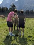 IMG-20260902-WA0017